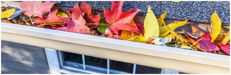 Autumn Roof Maintenance Tips