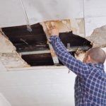 Roof Maintenance in Overland Park Merriam Roofer | Roeland Park Roofer | Shawnee Roofer | Lenexa Roofer
